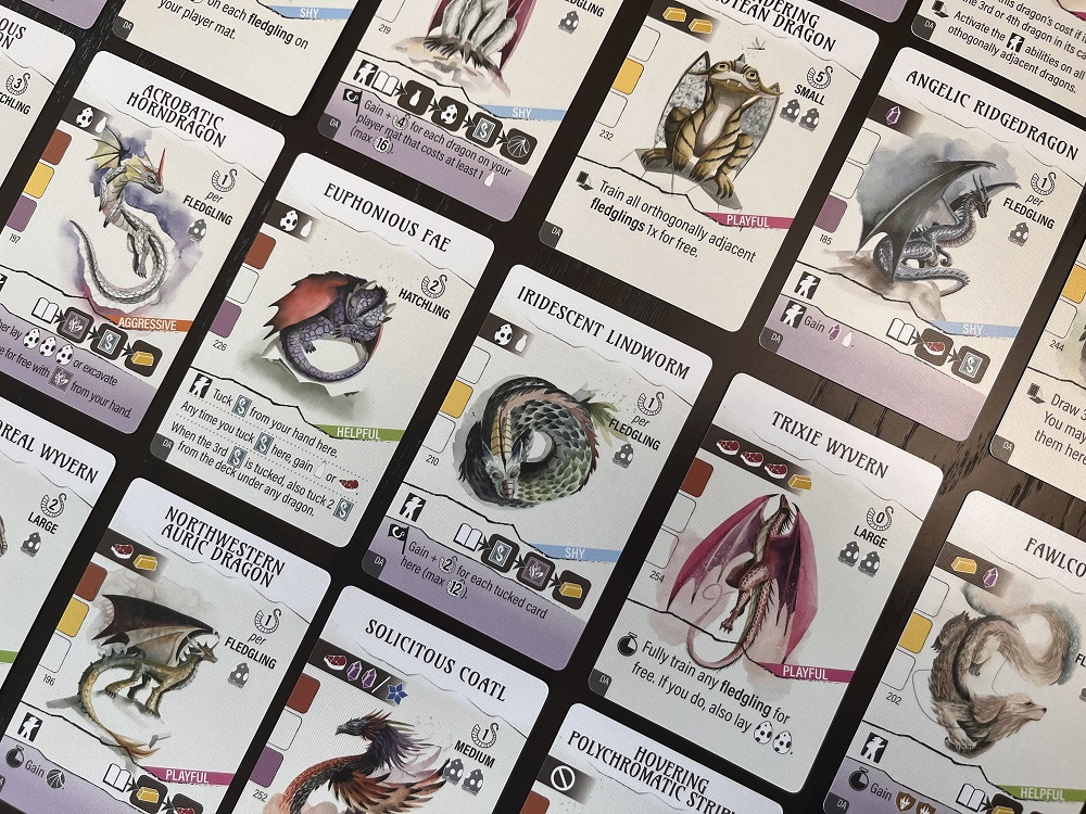 Wyrmspan - Dragon Academy Expansion - Image 2